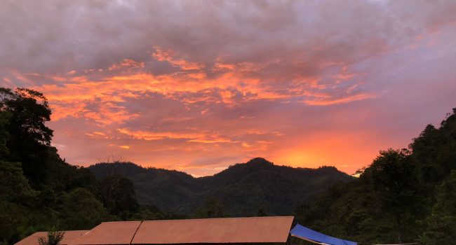 WhatsApp Image 2023-07-20 at 18.52.33